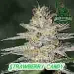 Strawberry Candy Cannabis Seeds Product IMage