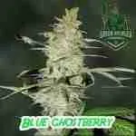 Blue Ghost Berry Cannabis Seeds