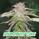 Sour Fruit Cake New