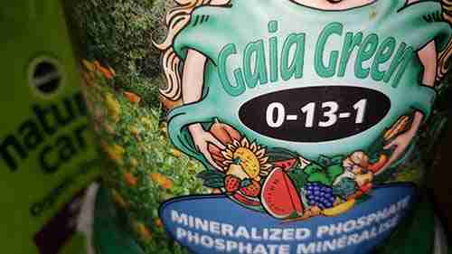 Bag of mineralized phosphate organic fertilizer used as a phosphorus source for cannabis
