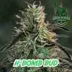 H-Bomb Bud Cannabis Seeds