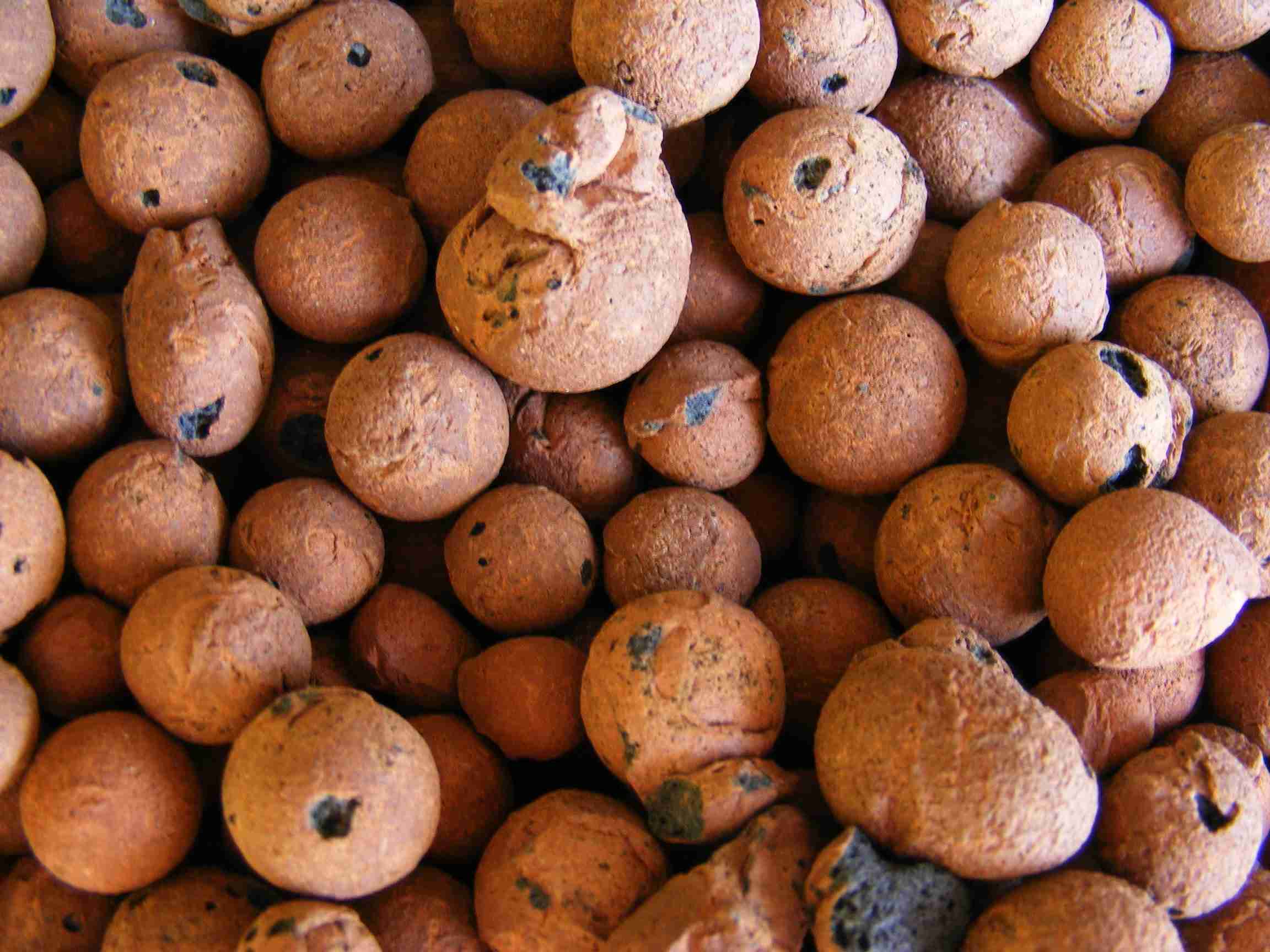 Expanded clay pellets for hydroponic cannabis net pots