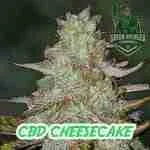 CBD Cheesecake Cannabis Seeds