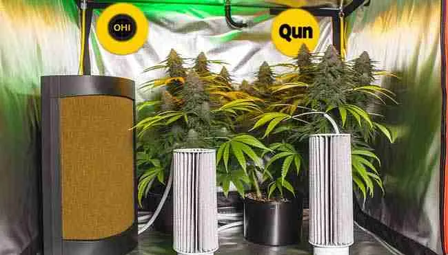 image depicting an indoor cannabis growing setup with effective odor control measures, including carbon filters and air purifiers.