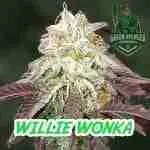 Willie Wonka Cannabis Seeds Product Image