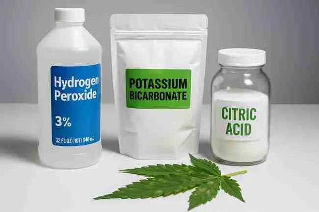 Natural fungus‑killing agents ready for use on cannabis plants.