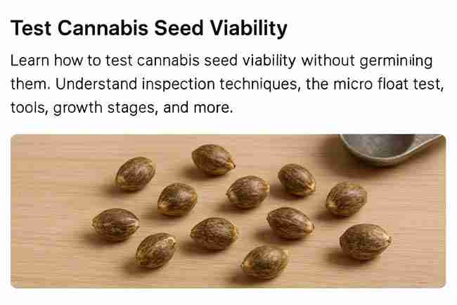 Horizontal header image showing cannabis seeds scattered on wood with a metal spoon, used as a feature image for Test Cannabis Seed Viability guide.