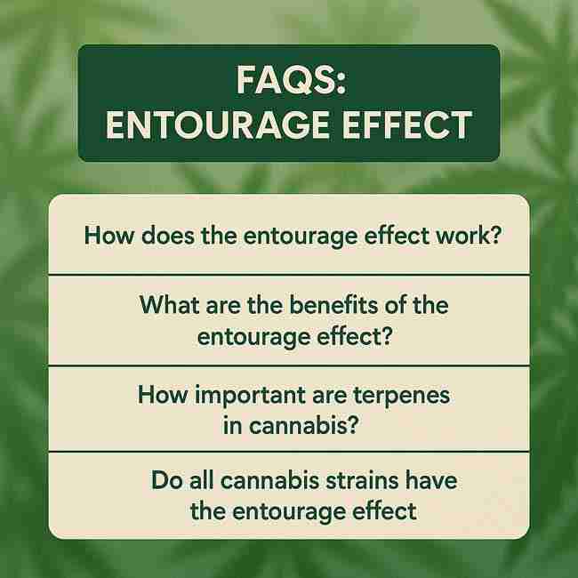 Informational FAQ graphic highlighting key questions about the Entourage Effect in cannabis, with soft green background and bold readable text.