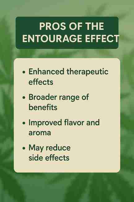 List of benefits from the Entourage Effect in cannabis, including improved flavor, reduced side effects, and stronger therapeutic results.