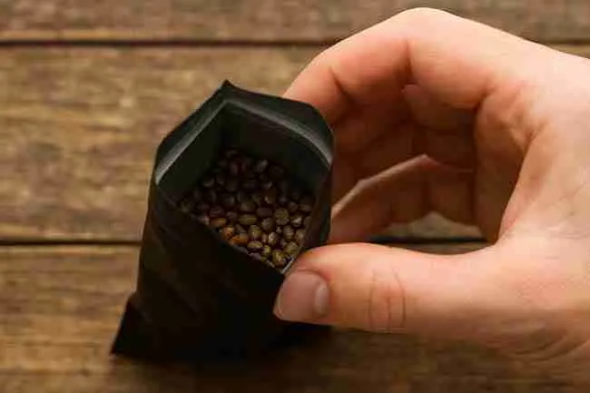 Cannabis seeds inside a loosely sealed bag, showing seed storage mistakes caused by oxygen and moisture leaks.