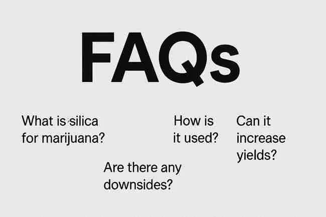 Cannabis FAQ concept image highlighting key silica questions for growers.
