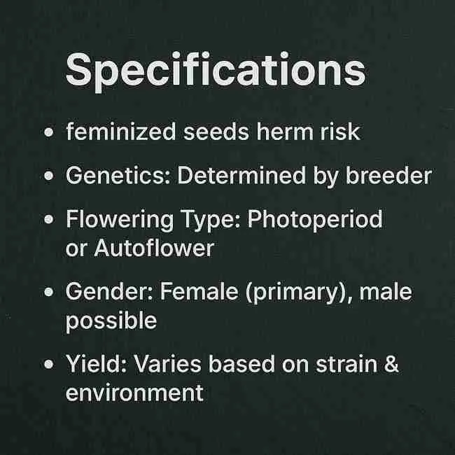 Specifications chart for feminized seeds herm risk, showing genetics, flowering type, plant gender, and yield variation details.