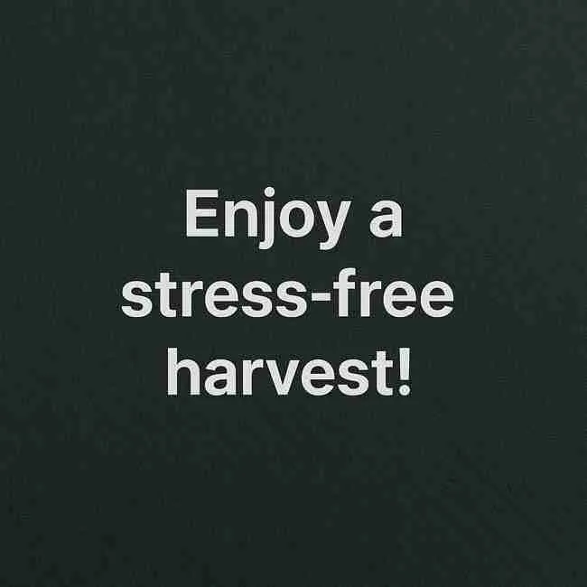 Text graphic with the phrase “Enjoy a stress-free harvest!” symbolizing confidence and prevention of feminized seeds herm risk.