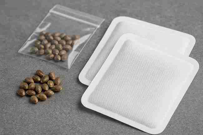 heat pack seeds placed safely beside cannabis seeds to keep shipments stable in freezing winter conditions