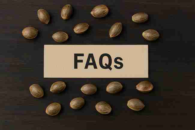 ship cannabis seeds winter FAQ with cannabis seeds arranged around a card labeled FAQs