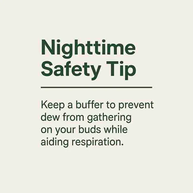 Infographic titled Nighttime Safety Tip reminding growers to maintain a dew point cannabis buffer to stop moisture from gathering on buds.
