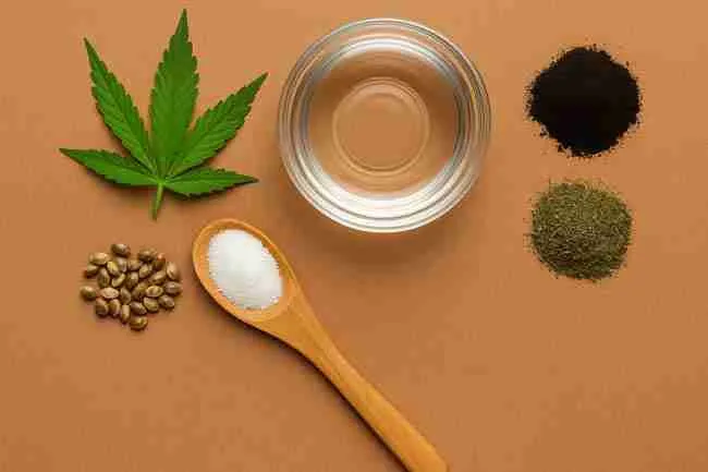 Overhead layout of cannabis seeds, hydrogen peroxide, fulvic acid, kelp, water bowl, and a cannabis leaf for soaking preparation.