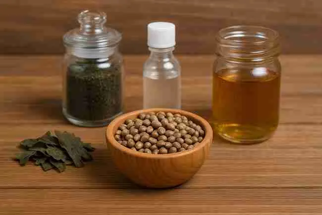 Wooden bowl of cannabis seeds with jars of kelp, fulvic acid, and hydrogen peroxide, arranged to compare soaking methods.