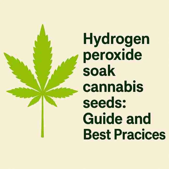 Graphic illustration of a bright green cannabis leaf with bold title text reading “Hydrogen peroxide soak cannabis seeds: Guide and Best Practices.