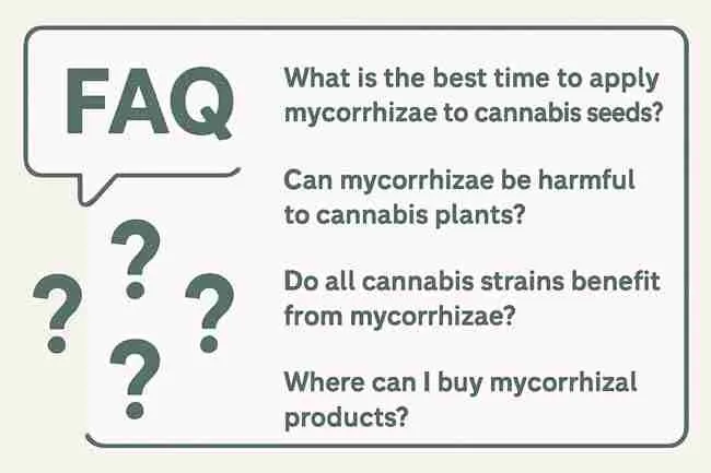 Illustrated FAQ graphic showing common grower questions about applying mycorrhizae to cannabis seeds.