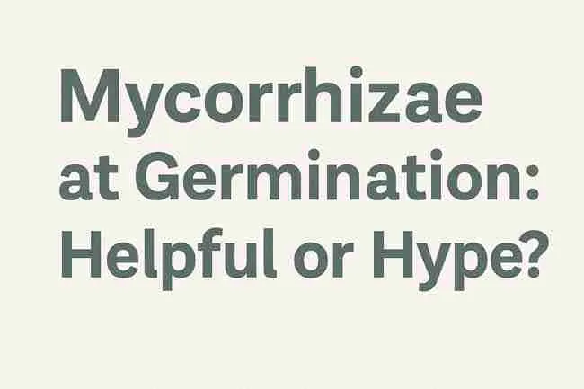Minimalist 2D graphic with the text “Mycorrhizae at Germination: Helpful or Hype?” displayed in bold dark gray font on a beige background.