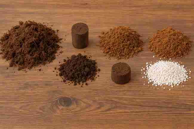 Materials for cannabis seed starting mixes—peat moss, coco coir, plugs, and perlite—arranged on a wooden surface before planting.