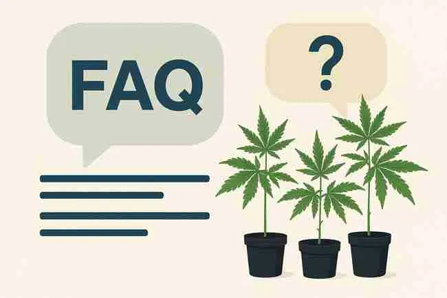 Horizontal infographic showing cannabis airflow FAQs including oscillating fans placement, preventing microclimates, and mildew airflow tips.