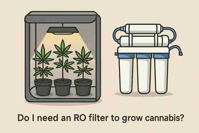Illustration of cannabis plants in a grow tent beside a reverse osmosis filtration system showing water purification for growing.