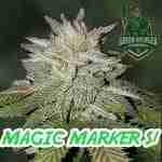 Magic Marker S1 Cannabis Seeds Product Image