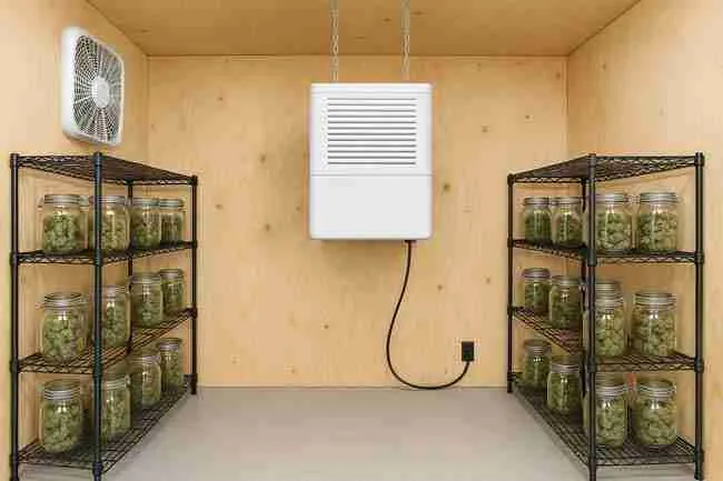 Cannabis curing room with shelves of jarred buds, a ceiling-mounted dehumidifier, and a wall fan showing a complete controlled curing room setup.