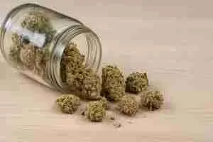 Horizontal image of over-dried cannabis buds spilling from a glass jar onto a wooden surface, showing crispy texture for the “rehydrate dry cannabis” section.