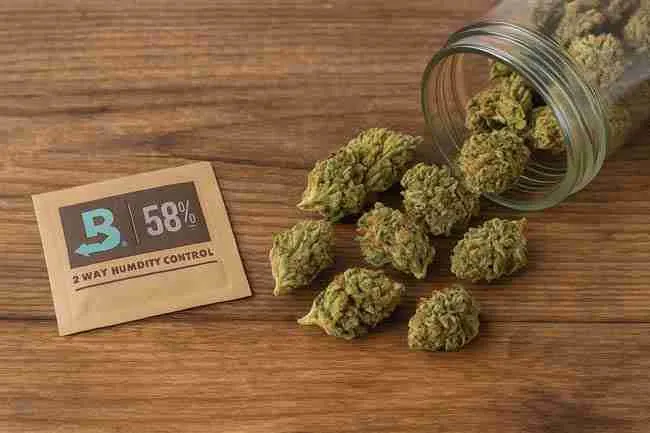 Horizontal image of cannabis buds spilling from a glass jar beside a 58% humidity control pack, illustrating safe methods to rehydrate dry cannabis.