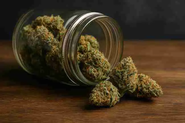 Horizontal image of cannabis buds spilling from a glass jar onto a wooden surface with a 62% humidity control pack, showing ideal moisture levels for rehydrating and storing dry cannabis.