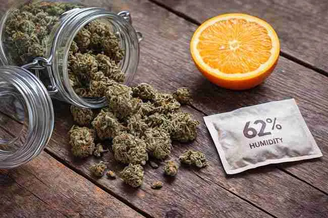 Horizontal image of cannabis buds spilling from a glass jar with multiple 62% humidity control packs on a rustic wooden surface, illustrating safe rehydration techniques for dry cannabis.