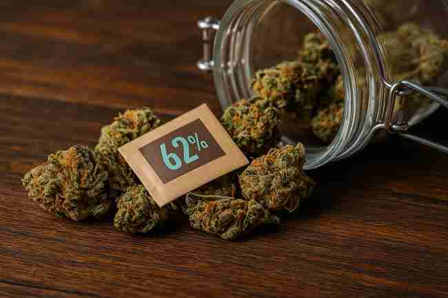 Horizontal image of cannabis buds spilling from a glass jar beside several 62% humidity control packs on a rustic wooden surface, highlighting proper moisture control for rehydrating dry cannabis.