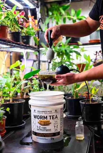 "Pro worm tea brewing for cannabis: grower aerating 1–2 cups vermicompost in a 5-gallon bucket with air pump, stone, and unsulfured molasses – earthy-sweet liquid gold for soil drench and foliar spray in worm composting cannabis cultivation at Green Avenger Seeds"
