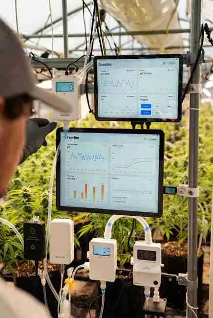 IoT cannabis cultivation monitoring with Growlink and FarmBot apps displaying real-time pH graphs, temperature swings, humidity levels, and automated nutrient dosing in a smart cannabis grow environment
