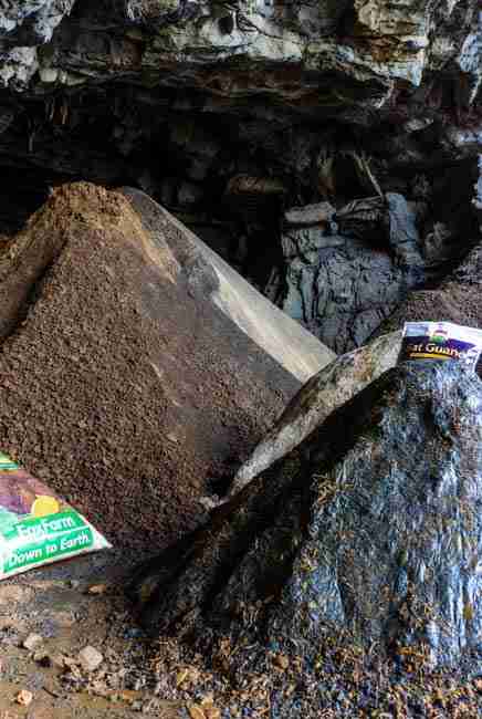 Cave interior showing composted bat guano deposits next to FoxFarm and Down to Earth bags illustrating eco-conscious sourcing and aged vs fresh bat guano for cannabis growing bat guano