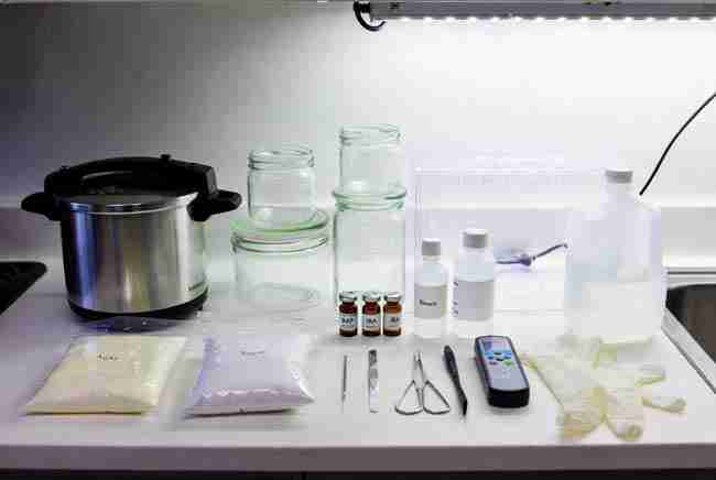 Beginner home tissue culture cannabis lab setup showing glass jars full of thriving plantlets, pressure cooker, and sterile tools on clean counter for cannabis micropropagation home