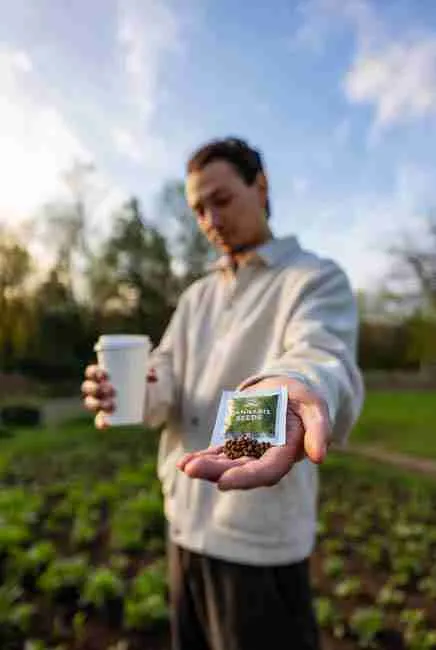 Sunny spring morning gardener holding coffee and fresh Green Avenger Seeds cannabis packet with emerging seedlings in background for Germinate Cannabis Seeds Spring