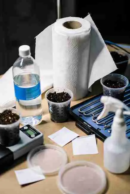 Complete beginner kit for Spring Time Cannabis Germination including bottled water, seedling heat mat, spray bottle, paper towels, plastic pots, pH meter and fresh cannabis seeds arranged for perfect setup
