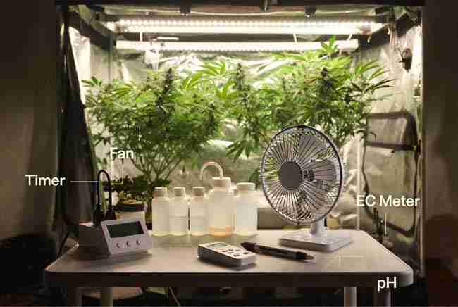 Practical home adjustments for environmental crop steering home grow using timers, fans, EC meter and nutrients in a real cannabis grow tent setup
