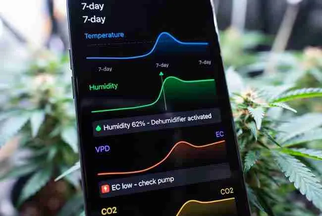 IoT cannabis grow room app showing data logging graphs, temperature trends, humidity alerts and real-time notifications to prevent mold and nutrient issues