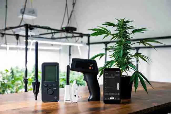 Affordable VPD monitoring tools and apps for home cannabis grow including hygrometer infrared thermometer and smart sensors