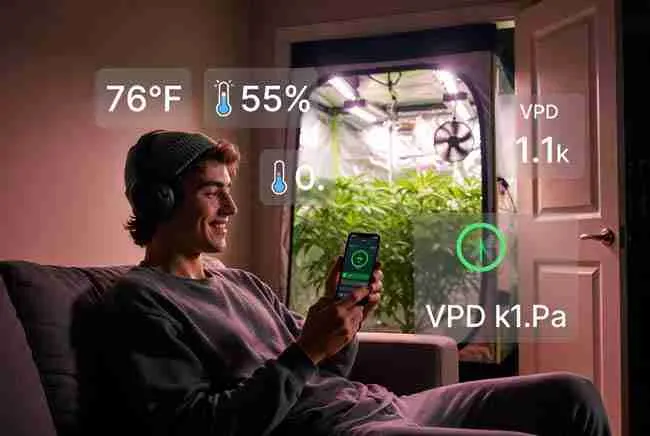 Relaxed grower monitoring IoT automated cannabis grow room from smartphone app showing perfect temperature, humidity and VPD for stress-free cultivation