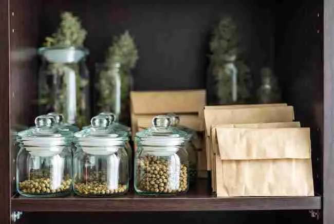 Neat organized storage of cannabis seeds in glass jars and paper envelopes inside a dark cupboard for long term seed viability after priming