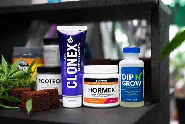 Clean professional display of popular synthetic rooting hormone products (Clonex, Hormex, Dip N Grow, Rootech, etc.)
