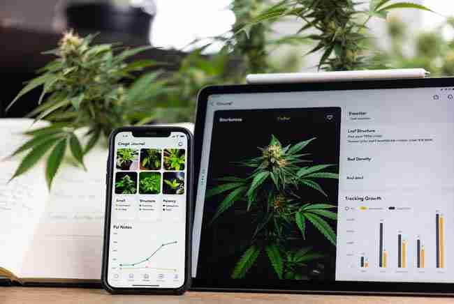 Smartphone and tablet displaying cannabis grow journal app with plant photos and trait tracking charts
