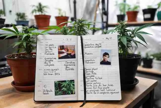 Open cannabis grower journal with detailed plant records, quarantine dates, observations, and photos next to healthy potted plants for tracing issues in cannabis biosecurity home practices