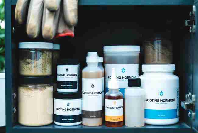 Neat organized storage of rooting hormone products in a cool dark cabinet with gloves for safe cannabis cloning